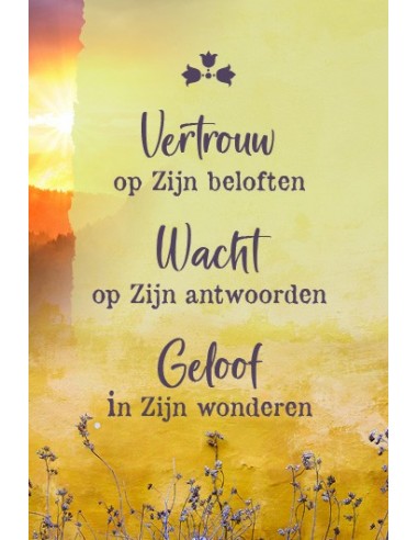 Vertrouw op Zijn beloften - minikaart