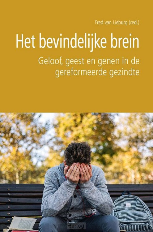 Het bevindelijke brein - deel 6